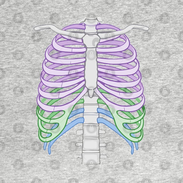 Colourful Ribcage by labstud